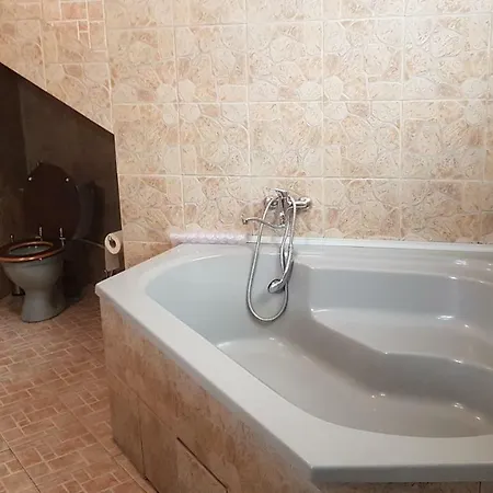 Apartman Gruia *